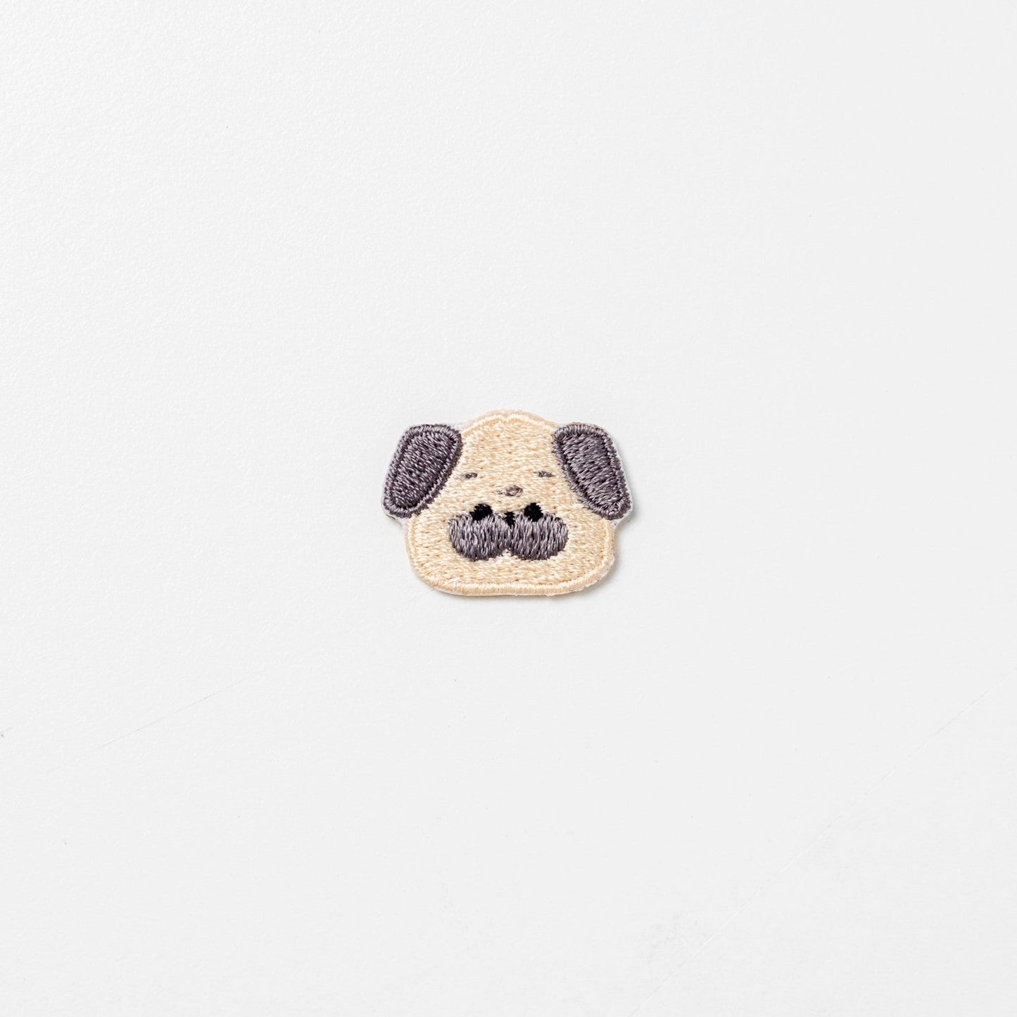 small dogs(小さいサイズ・犬)