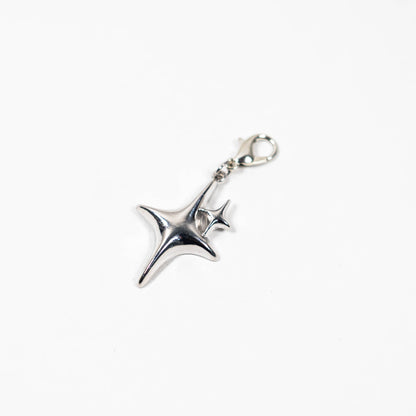 silver charm（シルバーチャーム）